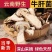 野生牛肝菌非云南黄白牛肝菌新货美味牛肝菌野生菌子新鲜煲汤