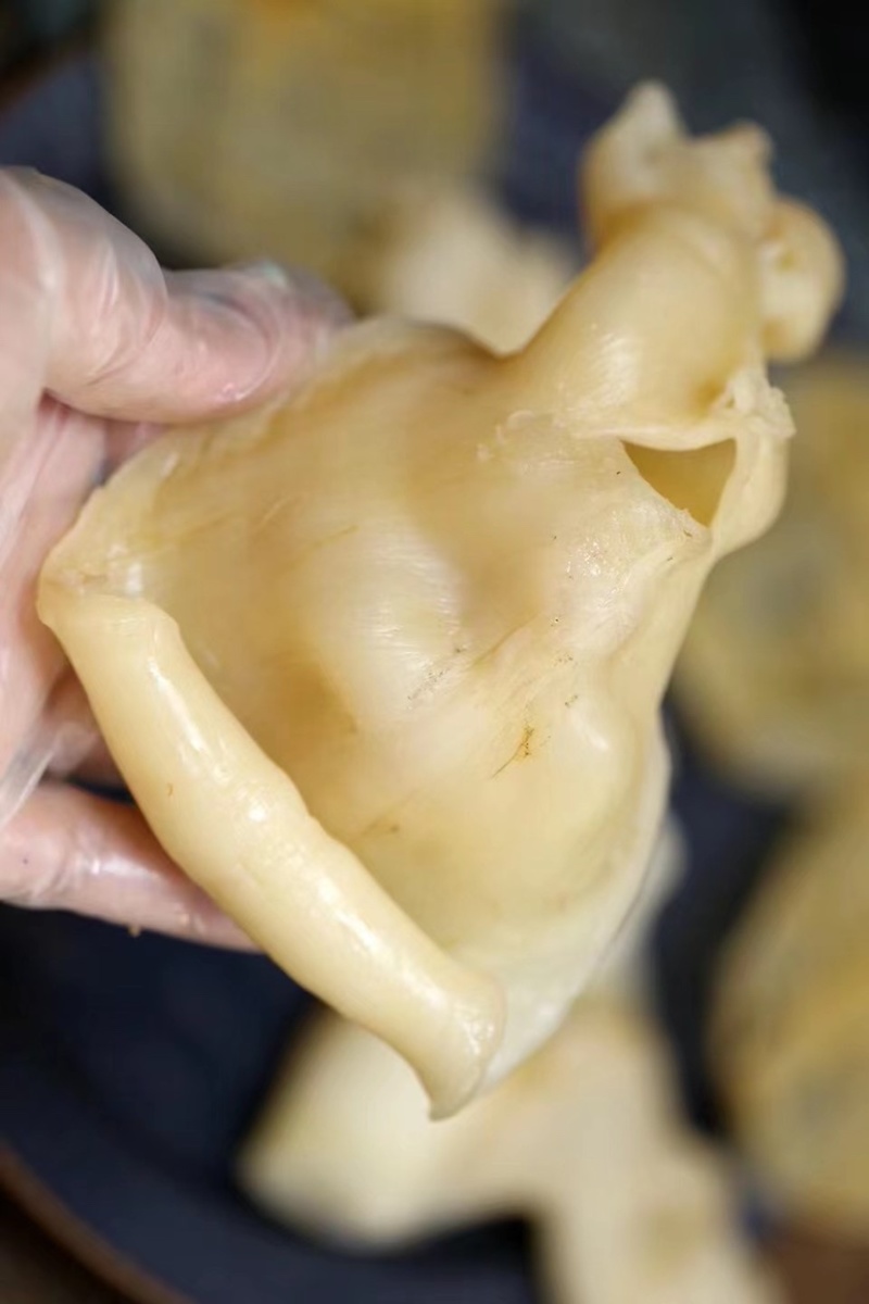 蜘蛛胶正宗天然鱼胶花胶鱼膘干货孕妇小孩滋补鱼胶