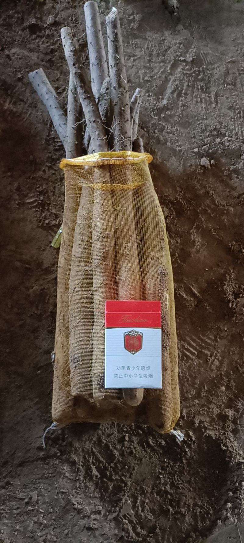 白玉山药，网袋货（假铁棍）可对接美团，多多，京喜！商超！