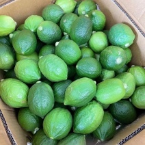 香水柠檬