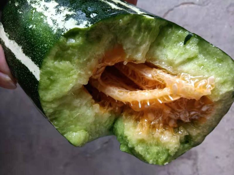 【好货推荐】甜瓜，博洋九号甜瓜，皮薄脆甜新鲜直达量大优惠