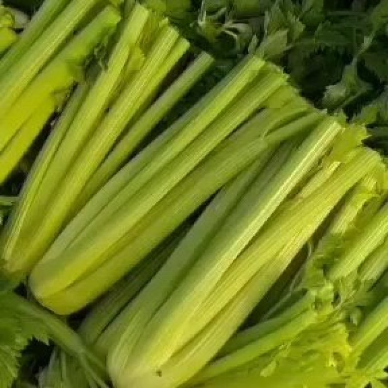 河南鹿邑优质西芹，可视频看货，支持线上保障交易