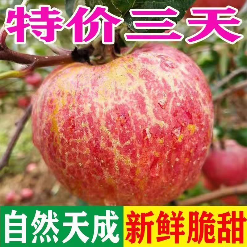 正宗丑苹果冰糖心当季新鲜红富士苹果脆甜水果10斤不是净重