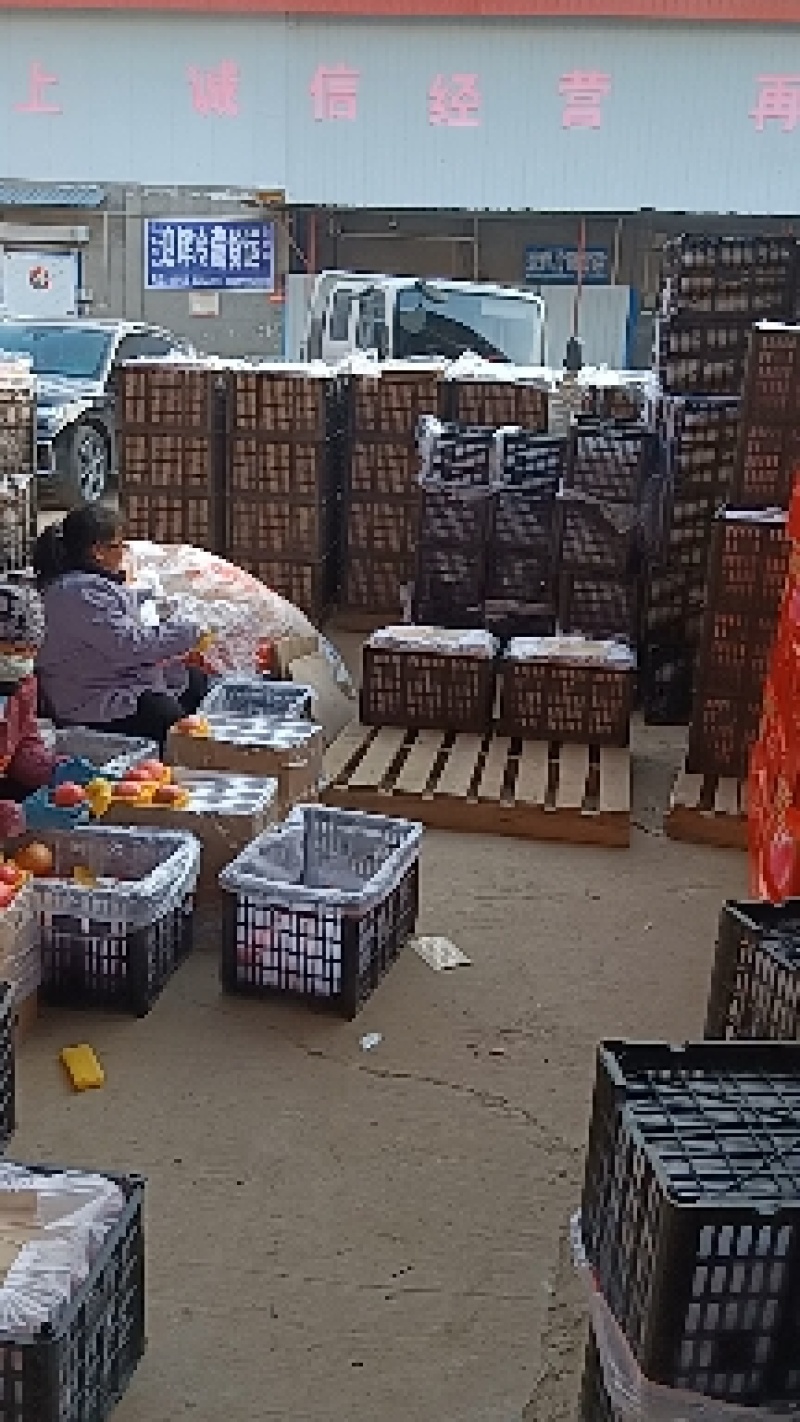 大量供应，精品膜袋红富士苹果，果个大口感好，一手货源