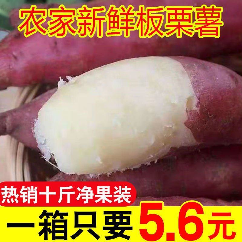 现挖四川白心板栗薯新鲜红薯农家番薯白瓤地瓜白薯山芋粉糯干