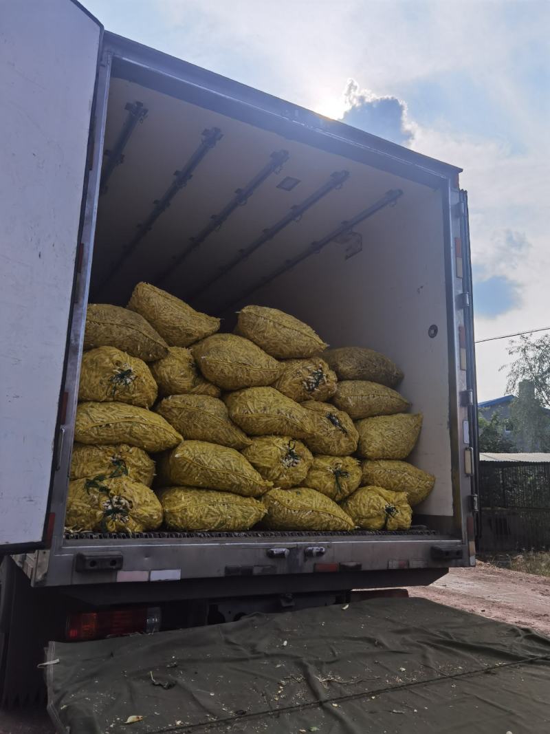 寒地黑土绥化特产黄豆角常年大量供应6~8厘米