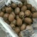 秦美猕猴桃。专业代办各种猕猴桃。正品和下检。产地直供。