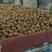 海沃得，专业代办各种猕猴桃产地直供。货多量大。