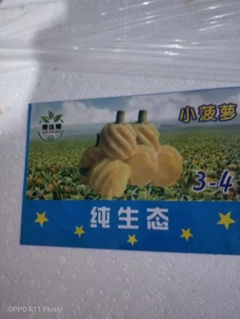 去皮甜脆小菠萝