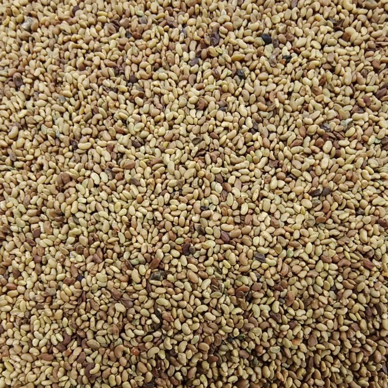 大量供应进口紫花苜蓿种子包芽率国内送货上门
