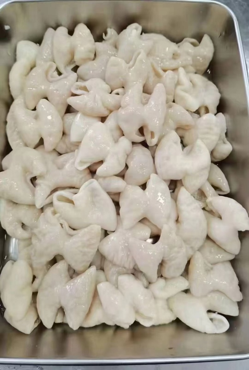 【肠类】熟肥肠，原味熟肥肠，厂家直供