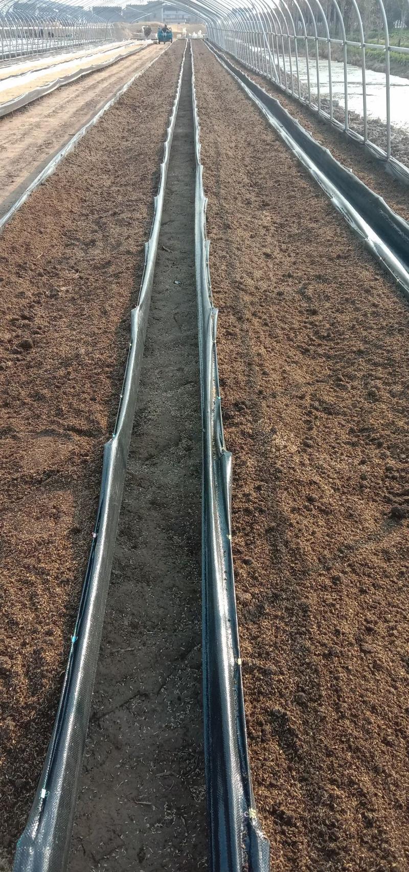 菌渣发酵菌渣菌渣有机肥原料改良土壤基地直发