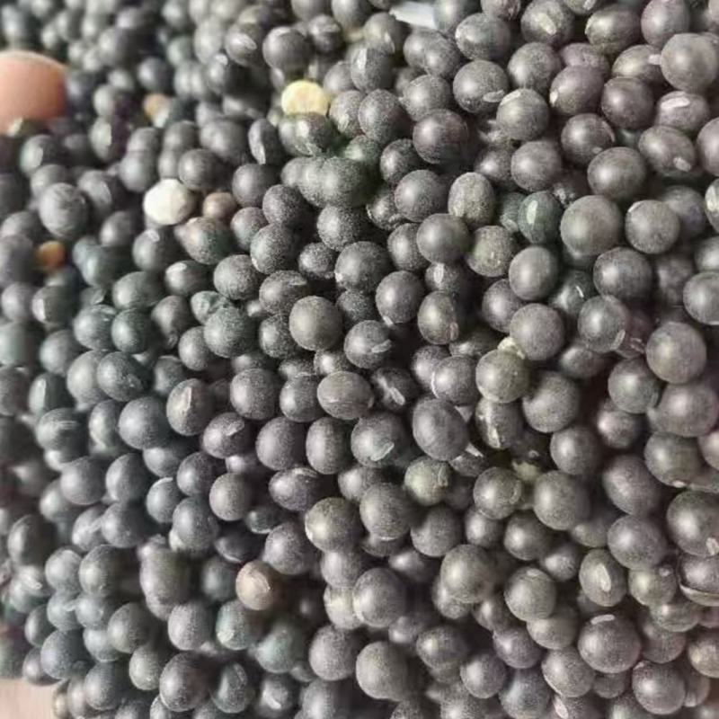 供应优质黄豆食品级大豆做豆腐豆浆五谷杂粮