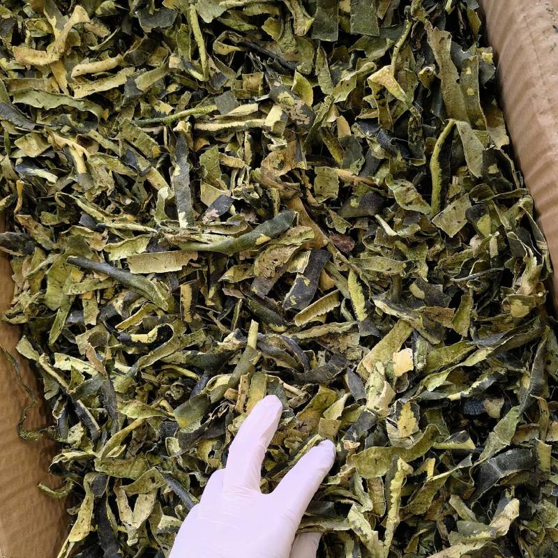 冬瓜皮无硫统货，散装1公斤起批产地直供青冬瓜皮，今年新货