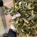 冬瓜皮无硫统货,散装1公斤起批产地直供青冬瓜皮,今年新货