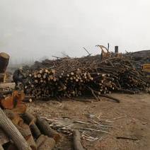 各种杂木青冈木，栗木等，硬杂木柴火，产地开发商，量大