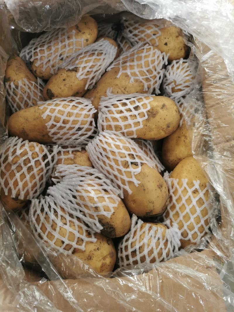 货好价低，自营恒温库，保质保量