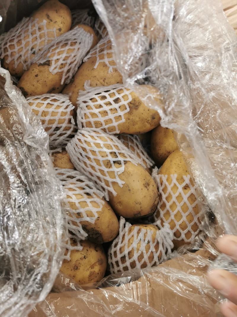 货好价低，自营恒温库，保质保量
