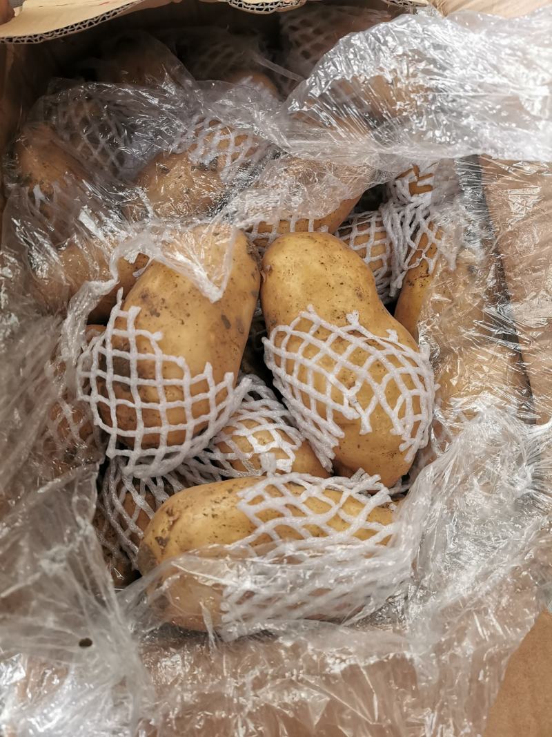 货好价低，自营恒温库，保质保量