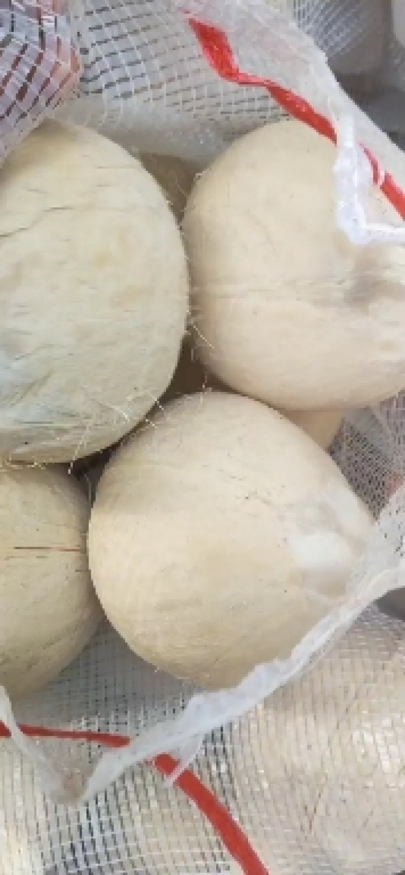热销海南椰子长期有货原地直发量大优惠