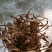 黄花菜特价，跟条好颜色好，干度到位放心产品，质量保证