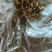 黄花菜特价，跟条好颜色好，干度到位放心产品，质量保证