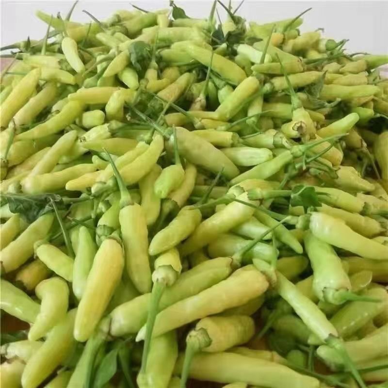 云南野山椒白米椒泡椒非新鲜泡好小辣椒朝天辣指天椒辣椒尖椒