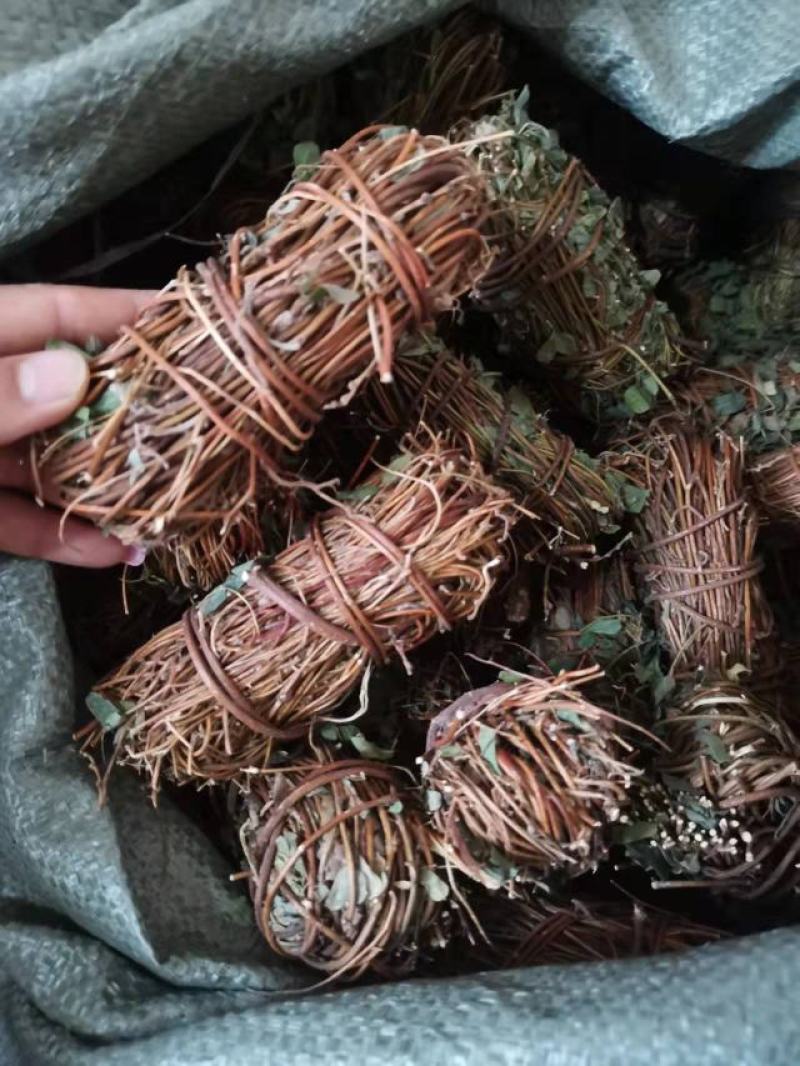 鸡骨草/野生鸡骨草/鸡骨草干货/鸡骨草小扎把/无硫