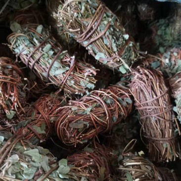 鸡骨草/野生鸡骨草/鸡骨草干货/鸡骨草小扎把/无硫