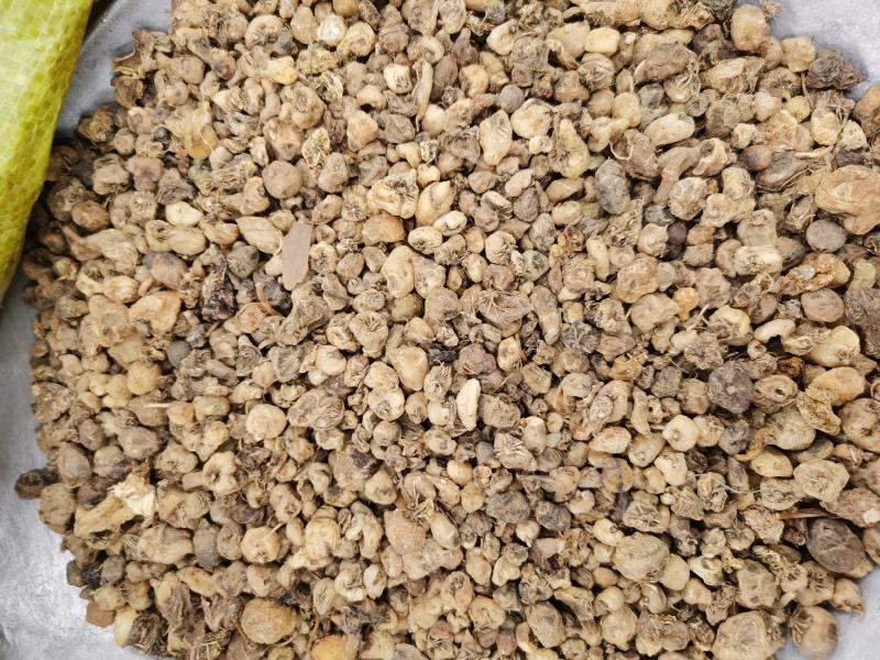 山慈菇毛茨菇无硫无杂质中药材批发零售