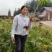 需要重楼苗的联系我吧价格美丽