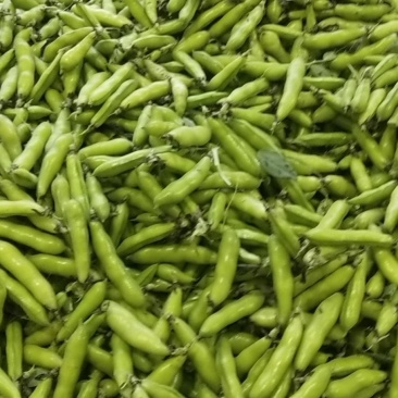 精品小胡豆