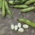 精品小胡豆