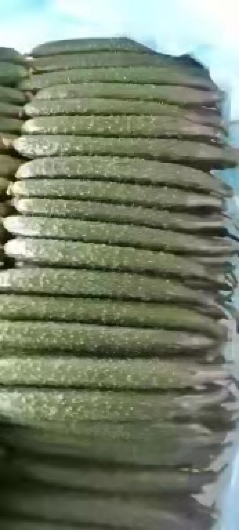 精品油亮黄瓜，货源充足，基地直供，保质保量，诚信为本。