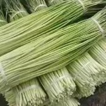 精品红帽蒜苔，货源充足，质量三包，全国发货，诚信经营。