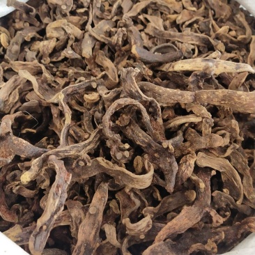 骨碎补，申姜。各种规格都有大货供应，量大优惠
