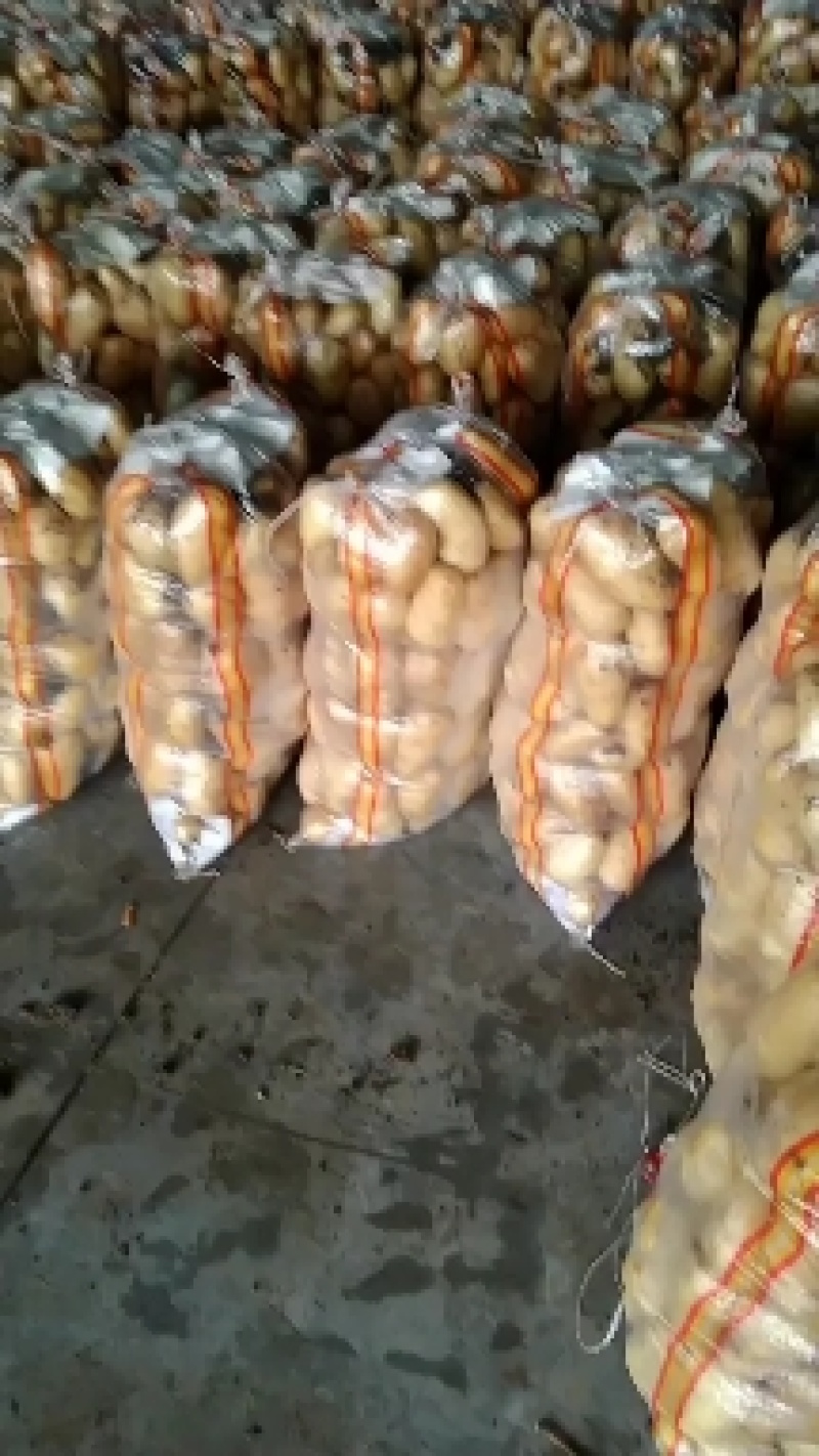 水洗货