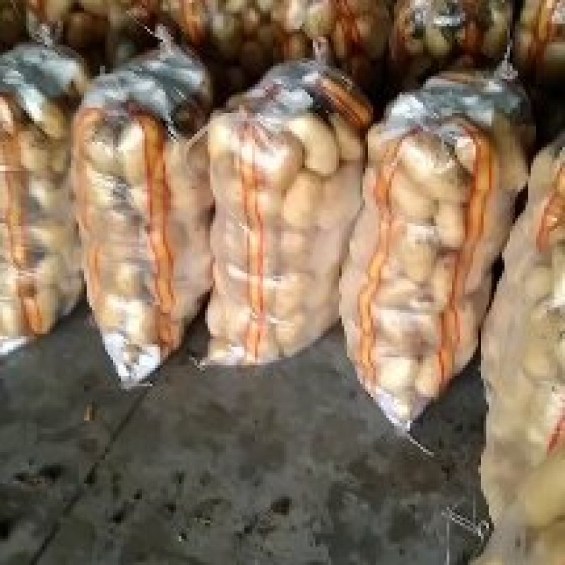 水洗货