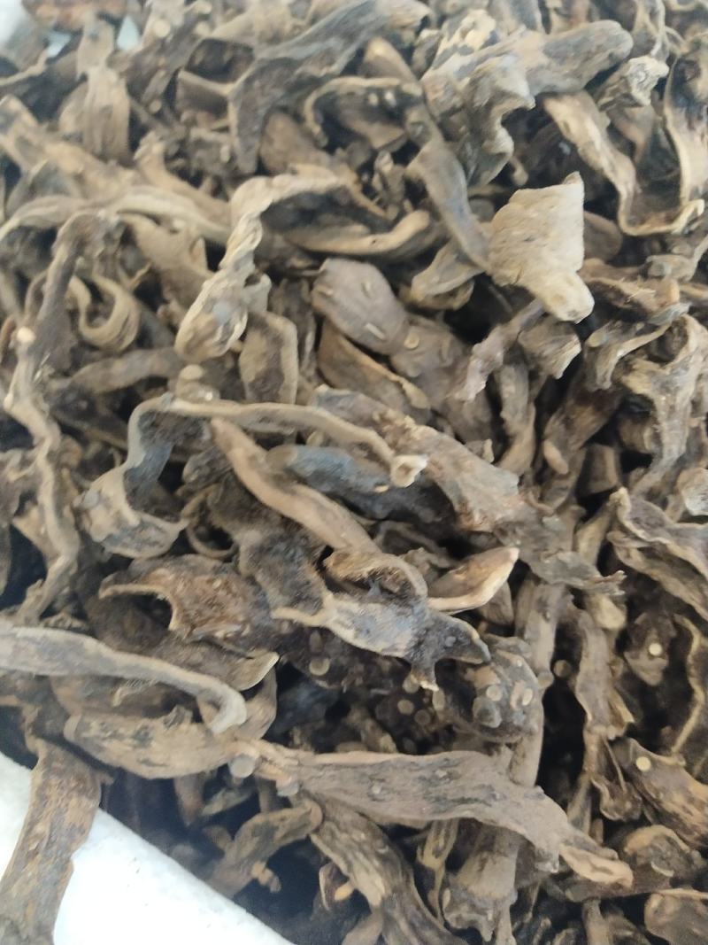 骨碎补，申姜。各种规格都有大货供应，量大优惠