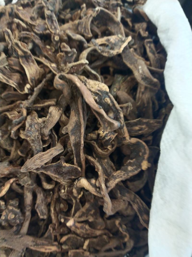骨碎补，申姜。各种规格都有大货供应，量大优惠
