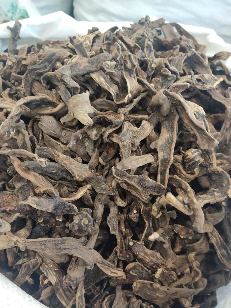骨碎补，申姜。各种规格都有大货供应，量大优惠