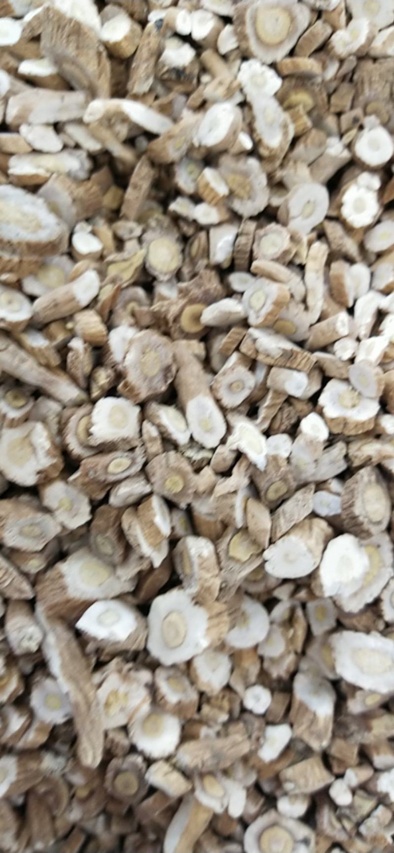板蓝根常年经营大货供应，产地。量大优惠