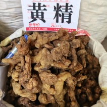 黄精，鸡头黄精