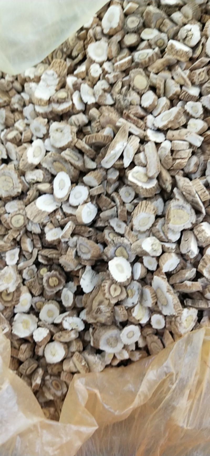 板蓝根常年经营大货供应，产地。量大优惠