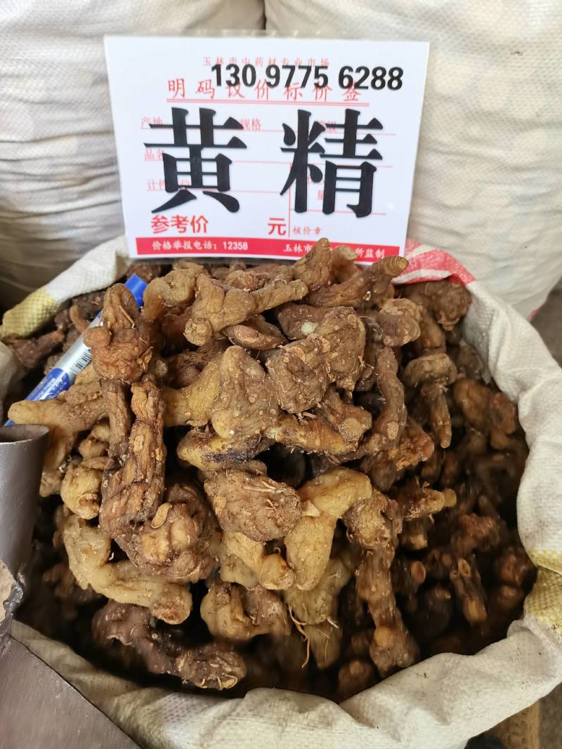 黄精，鸡头黄精