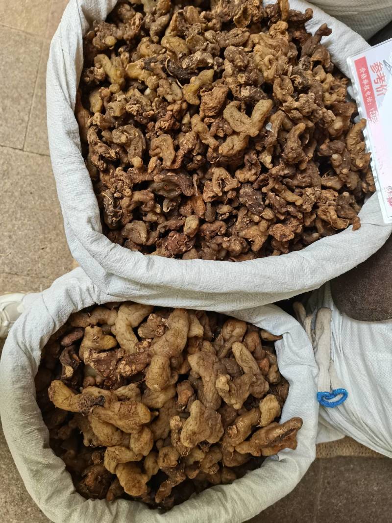 黄精，鸡头黄精
