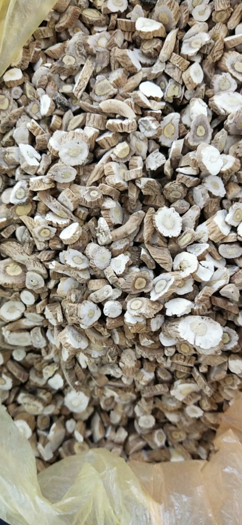 板蓝根常年经营大货供应，产地。量大优惠