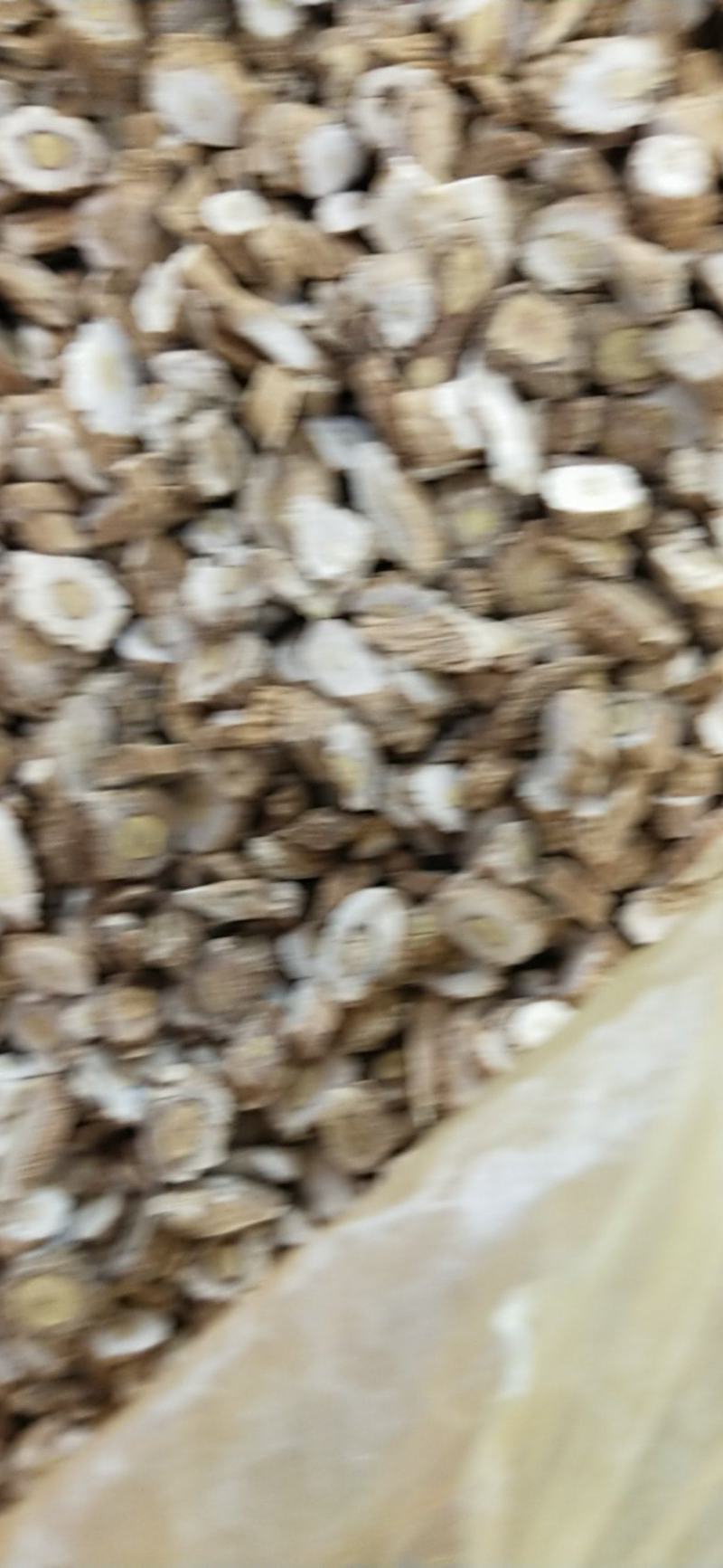 板蓝根常年经营大货供应，产地。量大优惠