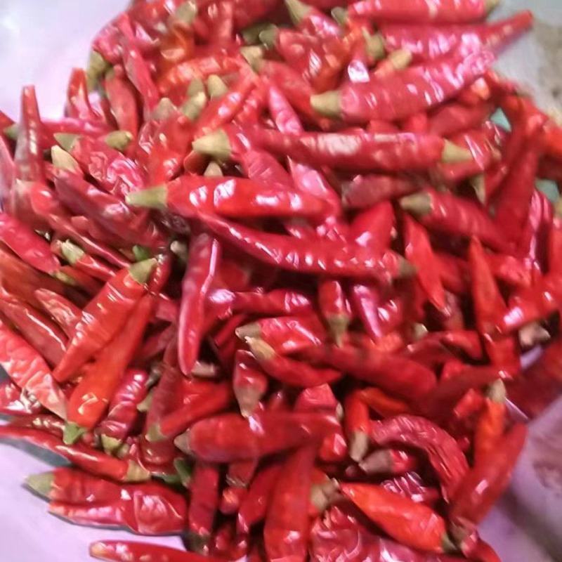 贵州满天星，辣香为主用途广泛，欢迎各位老板进店