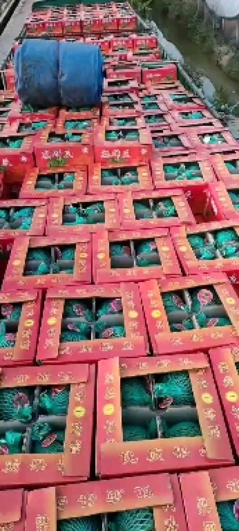麒麟西瓜，也叫美都西瓜，口感好，含量高12以上